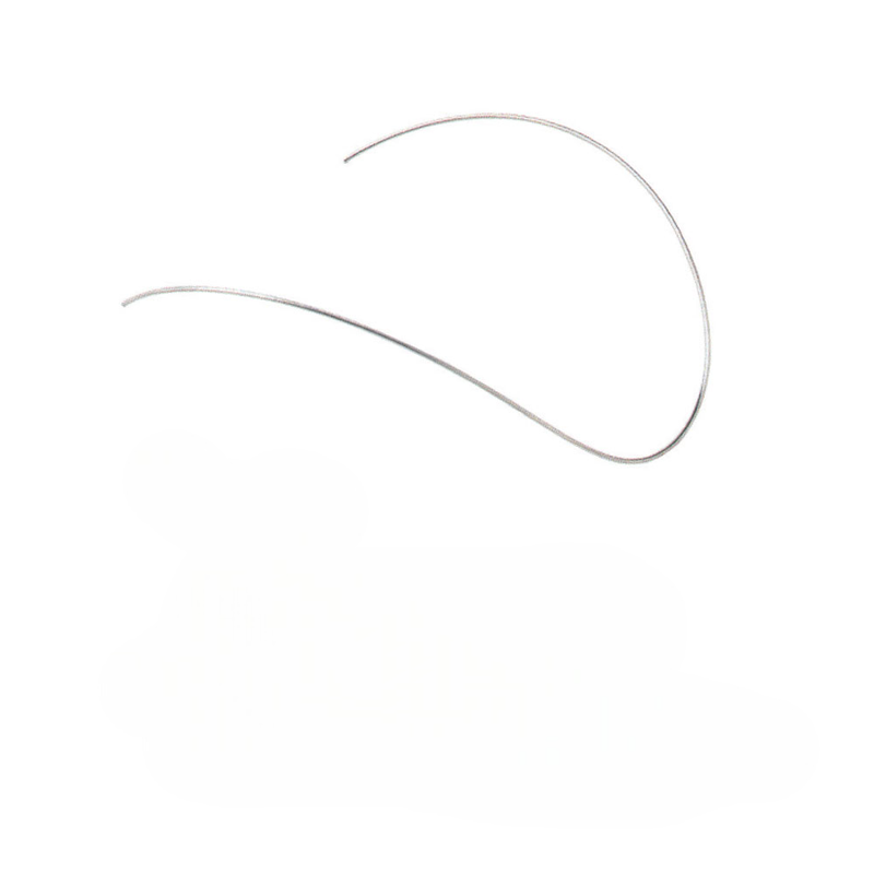 Reverse curve orthodontic arch wire (view 2) by ISSC Odont