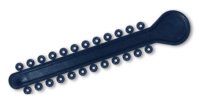 Navy elastic ligature ties for braces