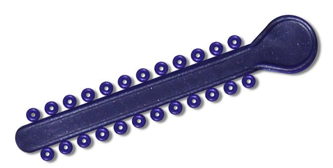 Purple elastic ligature ties for braces