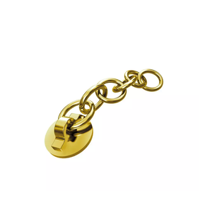 Eyelet and Traction Chain
